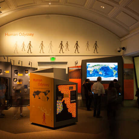 HumanOdysseyExhibit