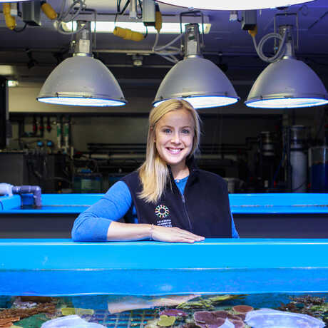 Rebecca Albright in the coral culturing lab; Photo: Kat Whitney