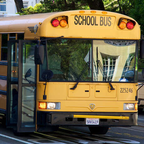 A yellow school bus.