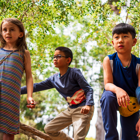Four school-age kids play outside under leafy green trees